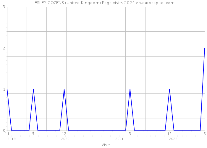 LESLEY COZENS (United Kingdom) Page visits 2024 