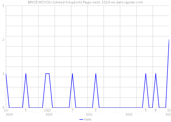 BRICE MOYOU (United Kingdom) Page visits 2024 