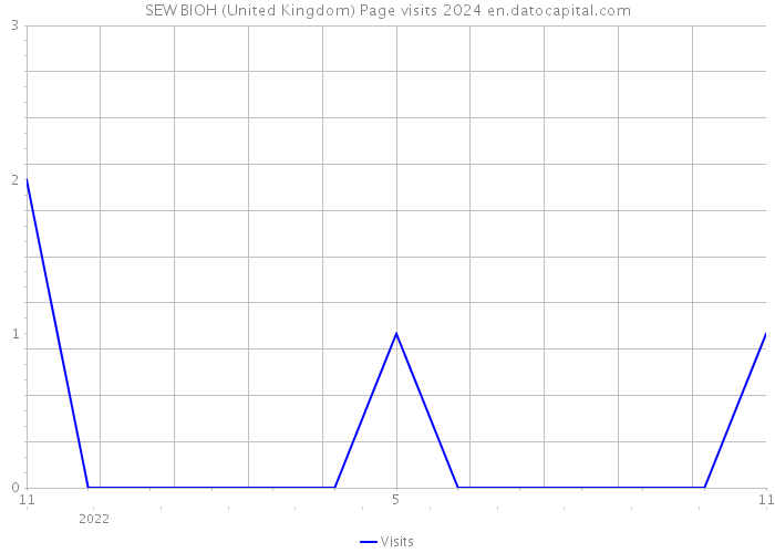 SEW BIOH (United Kingdom) Page visits 2024 