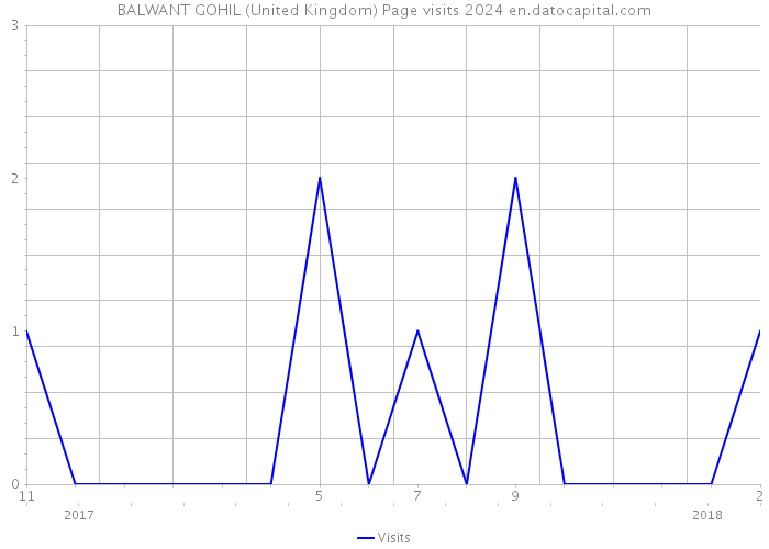 BALWANT GOHIL (United Kingdom) Page visits 2024 