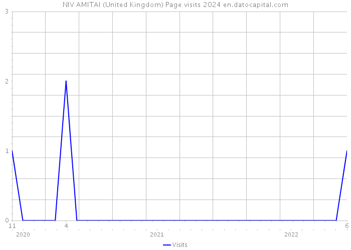 NIV AMITAI (United Kingdom) Page visits 2024 