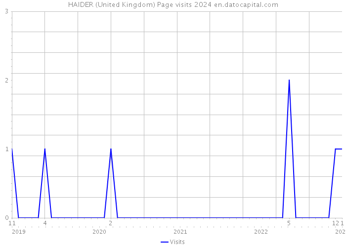 HAIDER (United Kingdom) Page visits 2024 