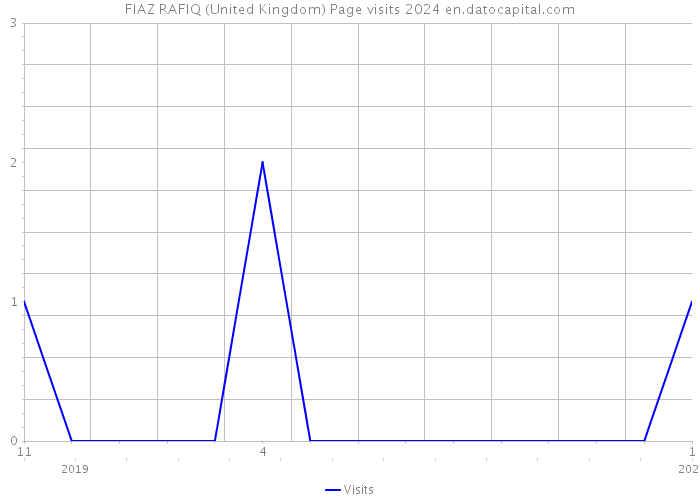 FIAZ RAFIQ (United Kingdom) Page visits 2024 