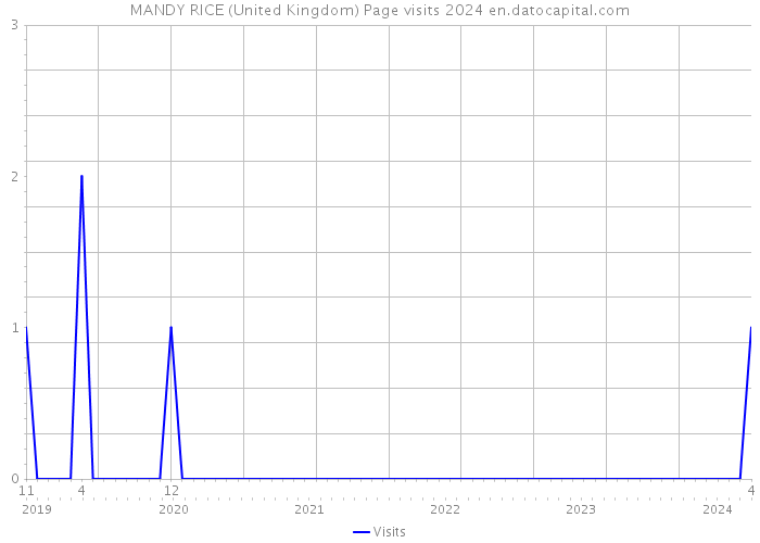 MANDY RICE (United Kingdom) Page visits 2024 