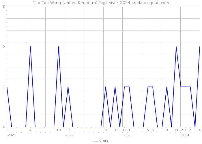 Tao Tao Wang (United Kingdom) Page visits 2024 
