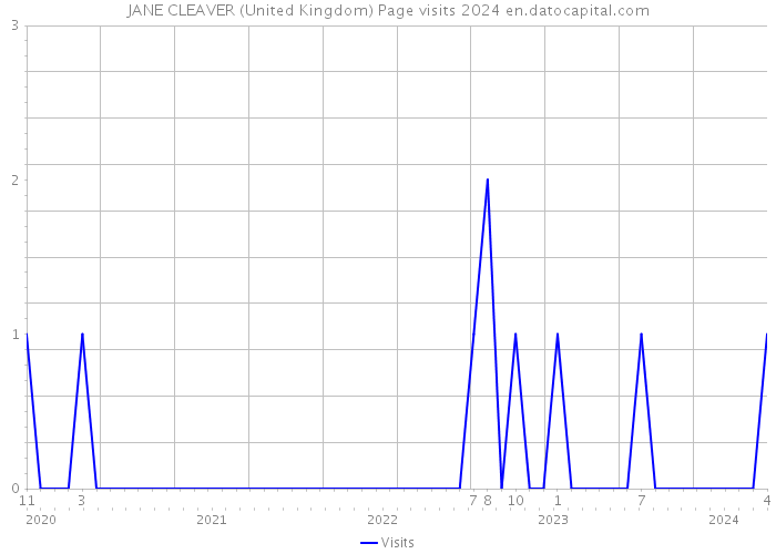 JANE CLEAVER (United Kingdom) Page visits 2024 
