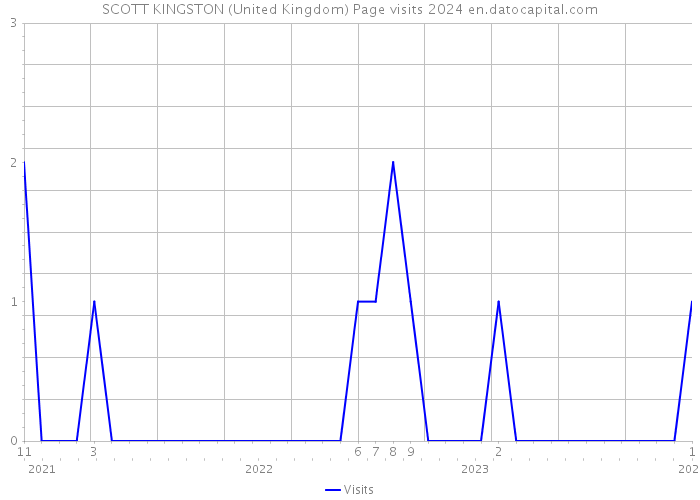 SCOTT KINGSTON (United Kingdom) Page visits 2024 