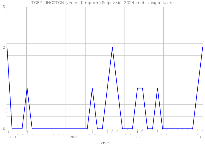 TOBY KINGSTON (United Kingdom) Page visits 2024 