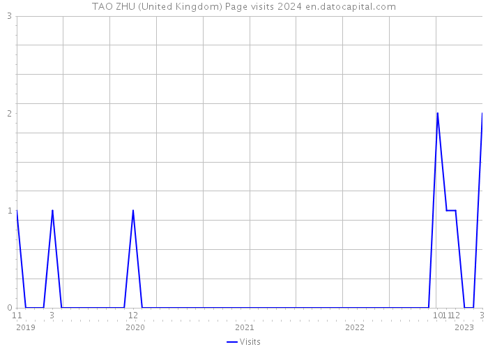 TAO ZHU (United Kingdom) Page visits 2024 