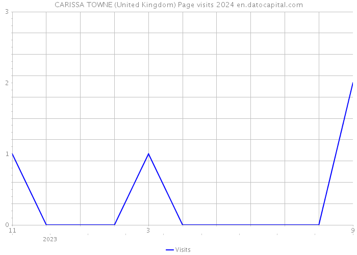 CARISSA TOWNE (United Kingdom) Page visits 2024 