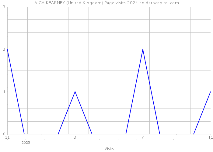 AIGA KEARNEY (United Kingdom) Page visits 2024 