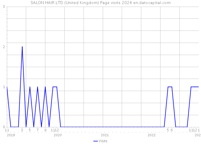 SALON HAIR LTD (United Kingdom) Page visits 2024 