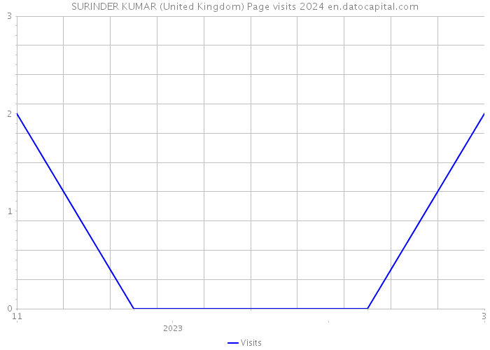 SURINDER KUMAR (United Kingdom) Page visits 2024 