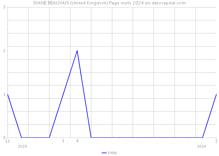 DIANE BEAUVAIS (United Kingdom) Page visits 2024 