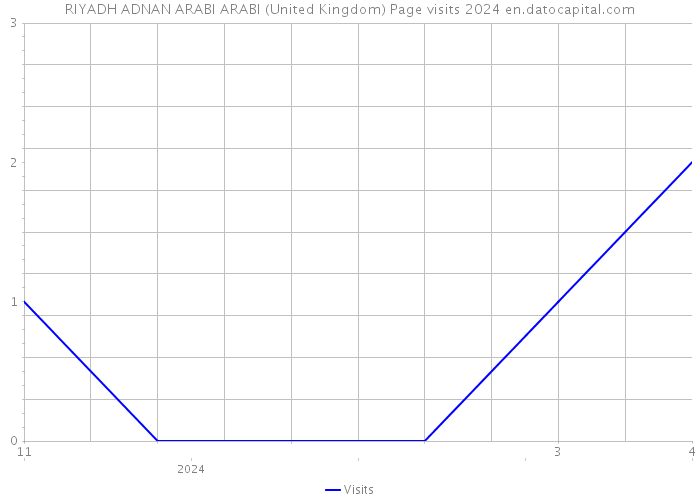 RIYADH ADNAN ARABI ARABI (United Kingdom) Page visits 2024 