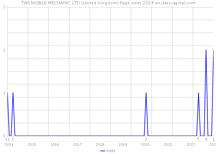 TWS MOBILE MECHANIC LTD (United Kingdom) Page visits 2024 