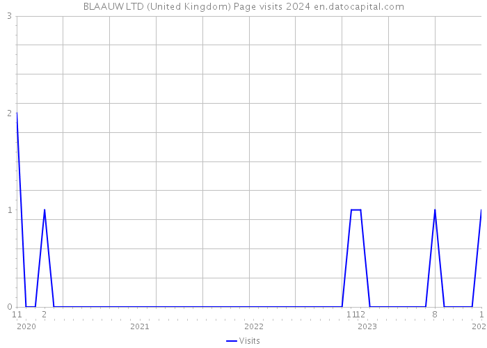 BLAAUW LTD (United Kingdom) Page visits 2024 