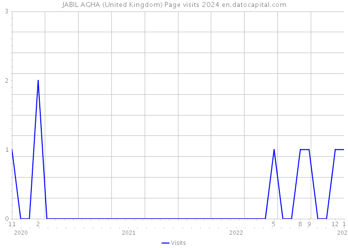 JABIL AGHA (United Kingdom) Page visits 2024 