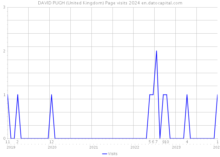 DAVID PUGH (United Kingdom) Page visits 2024 