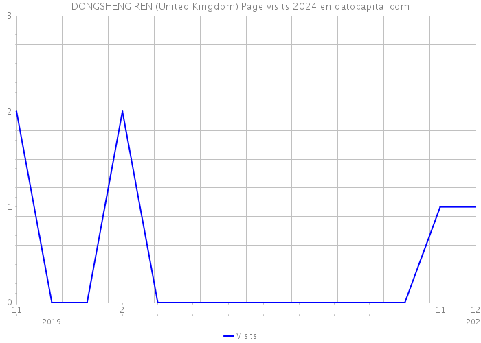 DONGSHENG REN (United Kingdom) Page visits 2024 