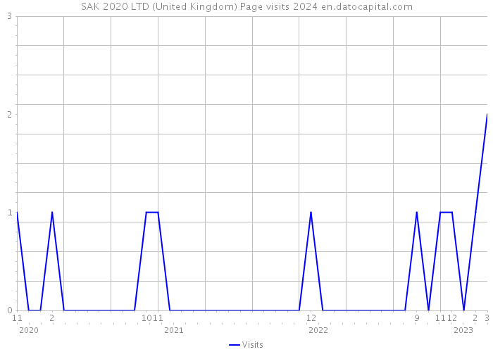 SAK 2020 LTD (United Kingdom) Page visits 2024 