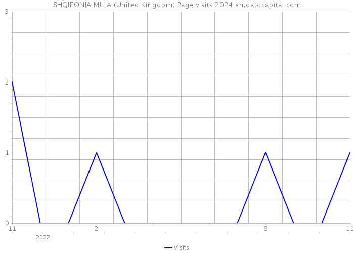 SHQIPONJA MUJA (United Kingdom) Page visits 2024 