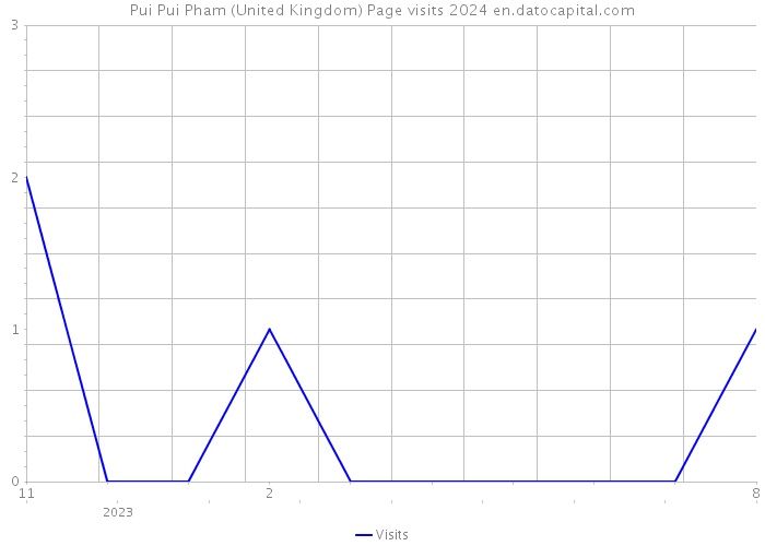 Pui Pui Pham (United Kingdom) Page visits 2024 