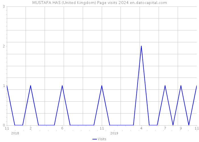 MUSTAFA HAS (United Kingdom) Page visits 2024 