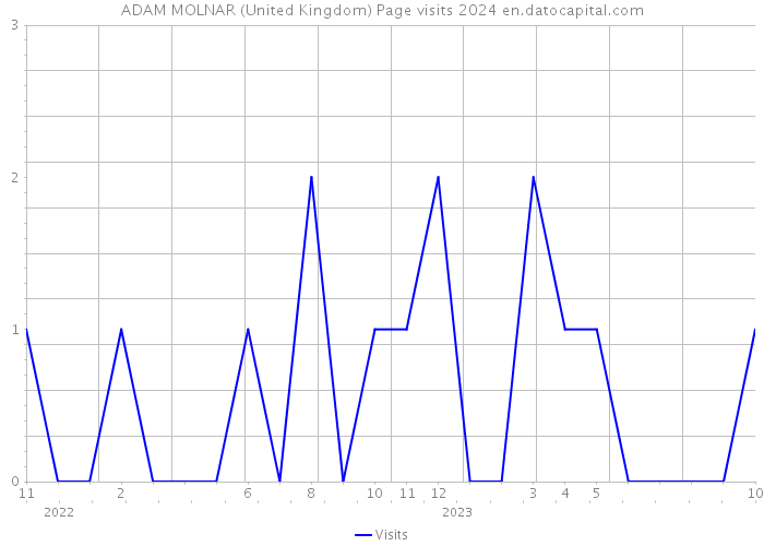 ADAM MOLNAR (United Kingdom) Page visits 2024 