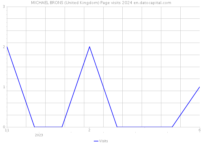 MICHAEL BRONS (United Kingdom) Page visits 2024 