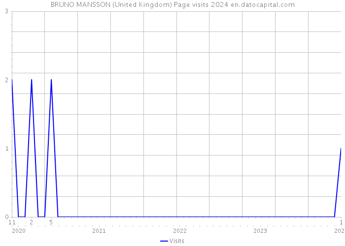 BRUNO MANSSON (United Kingdom) Page visits 2024 