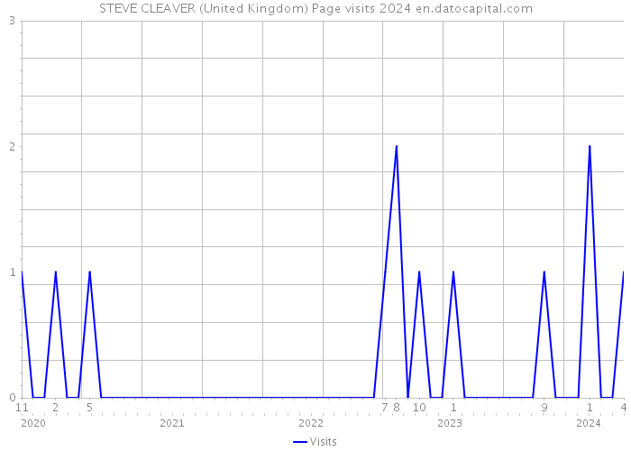 STEVE CLEAVER (United Kingdom) Page visits 2024 
