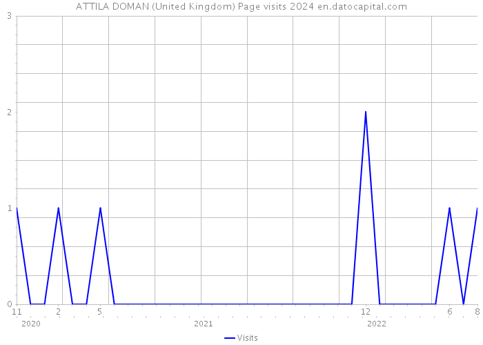 ATTILA DOMAN (United Kingdom) Page visits 2024 