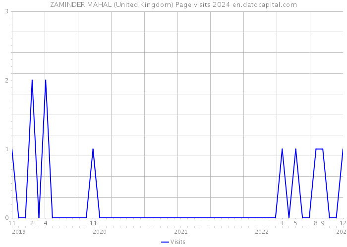 ZAMINDER MAHAL (United Kingdom) Page visits 2024 