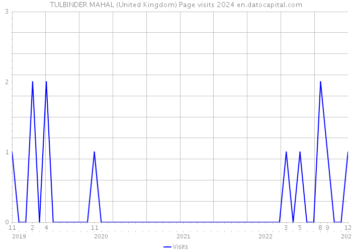 TULBINDER MAHAL (United Kingdom) Page visits 2024 