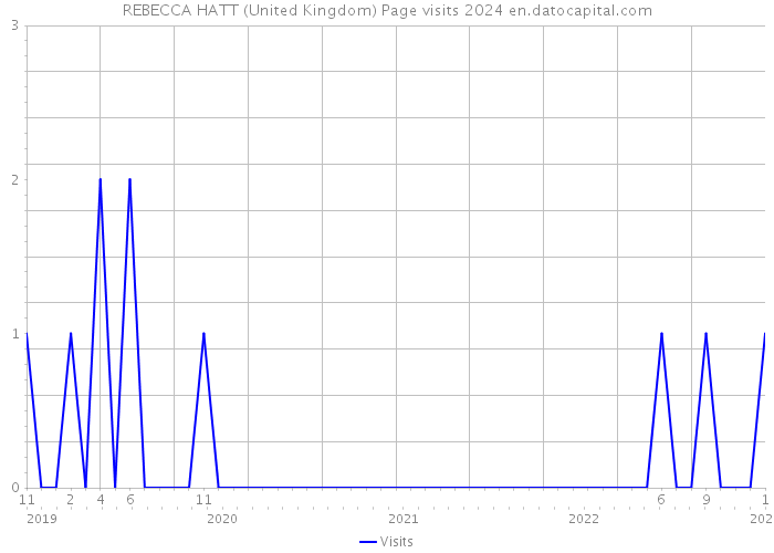 REBECCA HATT (United Kingdom) Page visits 2024 