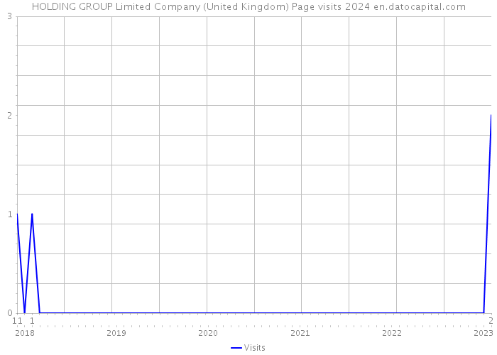 HOLDING GROUP Limited Company (United Kingdom) Page visits 2024 
