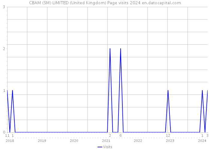 CBAM (SM) LIMITED (United Kingdom) Page visits 2024 