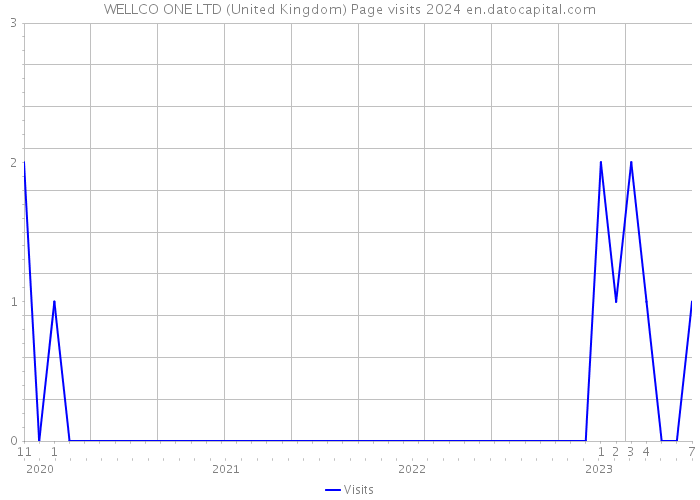 WELLCO ONE LTD (United Kingdom) Page visits 2024 