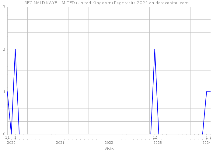 REGINALD KAYE LIMITED (United Kingdom) Page visits 2024 
