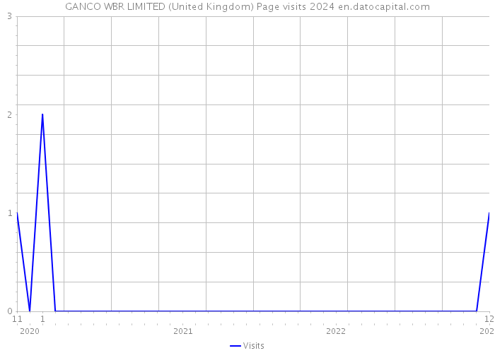 GANCO WBR LIMITED (United Kingdom) Page visits 2024 