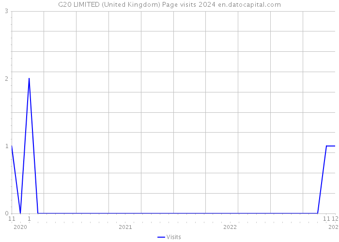G20 LIMITED (United Kingdom) Page visits 2024 