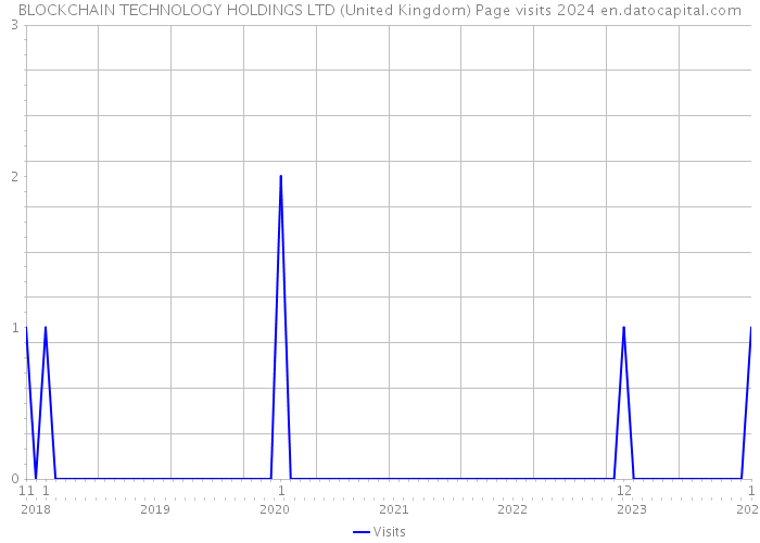 BLOCKCHAIN TECHNOLOGY HOLDINGS LTD (United Kingdom) Page visits 2024 