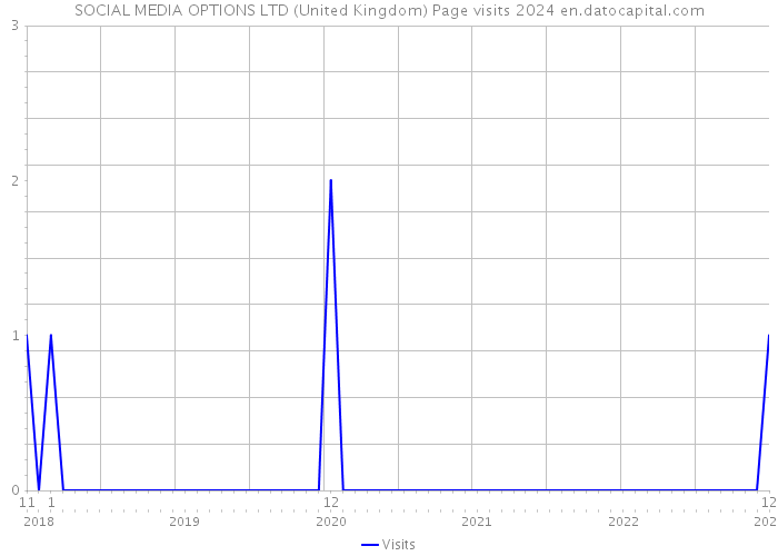 SOCIAL MEDIA OPTIONS LTD (United Kingdom) Page visits 2024 