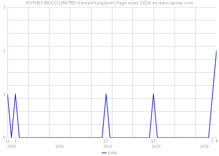 PUTNEY BIDCO LIMITED (United Kingdom) Page visits 2024 