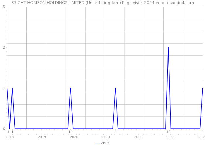 BRIGHT HORIZON HOLDINGS LIMITED (United Kingdom) Page visits 2024 