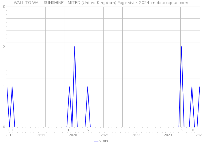 WALL TO WALL SUNSHINE LIMITED (United Kingdom) Page visits 2024 