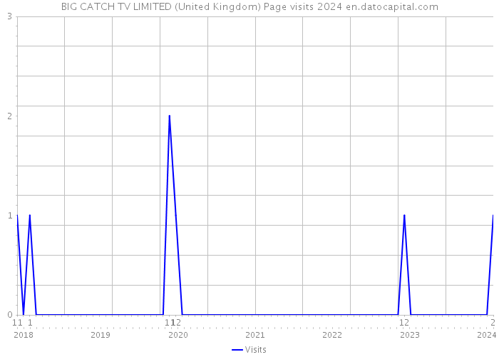 BIG CATCH TV LIMITED (United Kingdom) Page visits 2024 