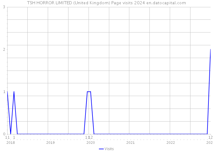 TSH HORROR LIMITED (United Kingdom) Page visits 2024 