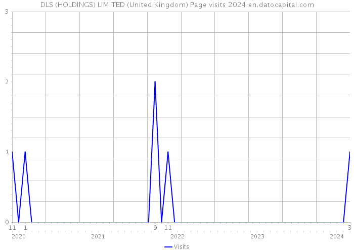 DLS (HOLDINGS) LIMITED (United Kingdom) Page visits 2024 